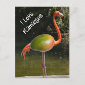 Flamango Postkarte (Vorderseite)