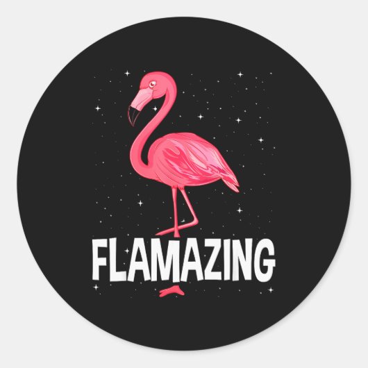 Flamazing Nk Flamingo Novelty Flamingo Lover Funny Runder Aufkleber (Vorderseite)