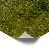 Flamborough Coast Poster (Ecke)