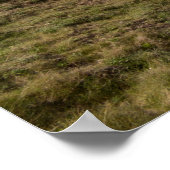 Flamborough Coast Poster (Ecke)