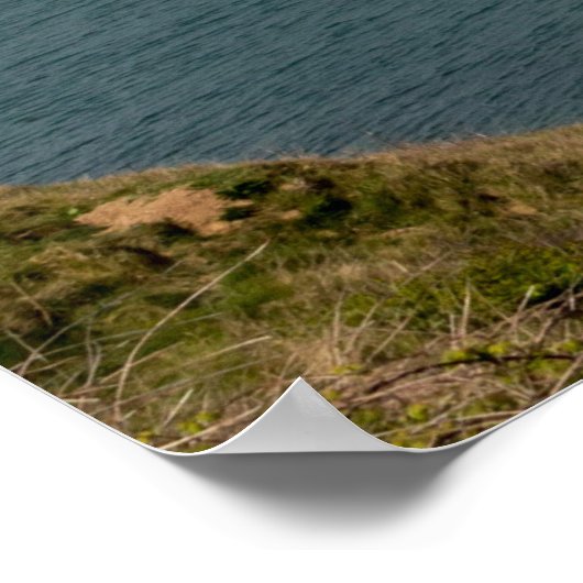 Flamborough Coast Poster (Ecke)