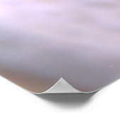 Flambouyant Nudi Poster (Ecke)
