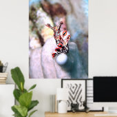 Flambouyant Nudi Poster (Heimbüro)