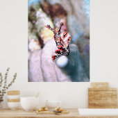 Flambouyant Nudi Poster (Küche)