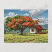 Flamboyán de Puerto Rico Postkarte (Vorderseite)