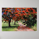 Flamboyan Poster (Vorne)