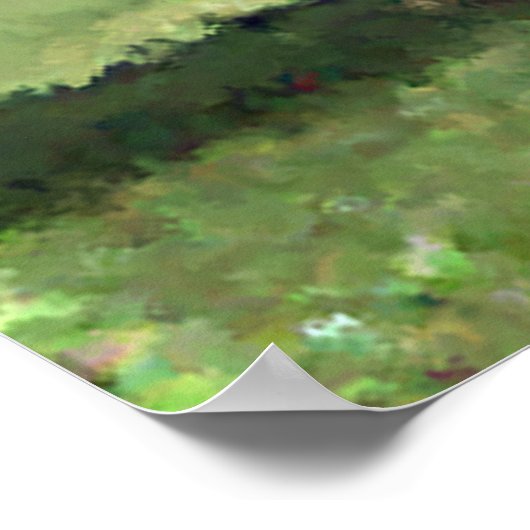 Flamboyan Poster (Ecke)