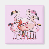 Flamboyance Magnet (Vorne)