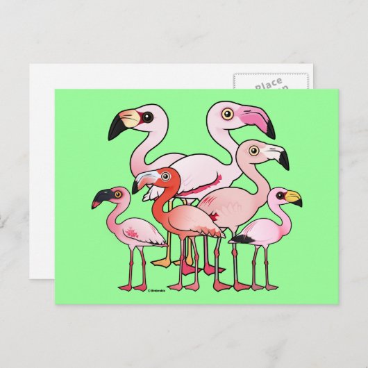 Flamboyance Postkarte (Vorne/Hinten)