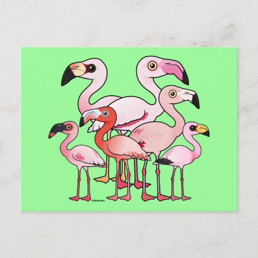 Flamboyance Postkarte (Vorderseite)