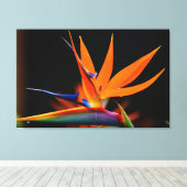 Flamboyant Bird der Paradise-Blume Leinwanddruck (Insitu (Holzboden))