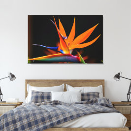 Flamboyant Bird der Paradise-Blume Leinwanddruck