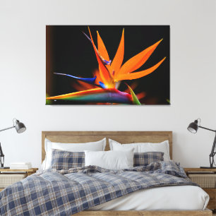Flamboyant Bird der Paradise-Blume Leinwanddruck