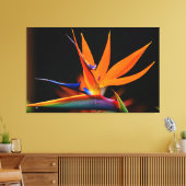 Flamboyant Bird der Paradise-Blume Leinwanddruck (Insitu (Wohnzimmer))