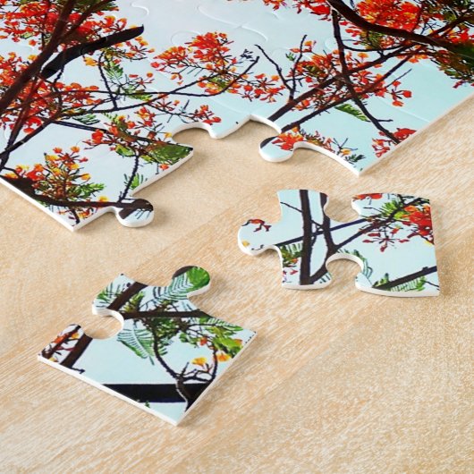 Flamboyant Flame Tree Royal Poinciana Fotografic Puzzle (Seite)