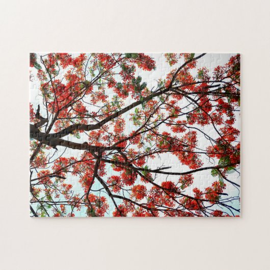 Flamboyant Flame Tree Royal Poinciana Fotografic Puzzle (Horizontal)