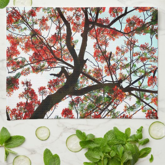 Flamboyant Royal Poinciana Tree Red Schwarz-weiß Geschirrtuch (Gefaltet)