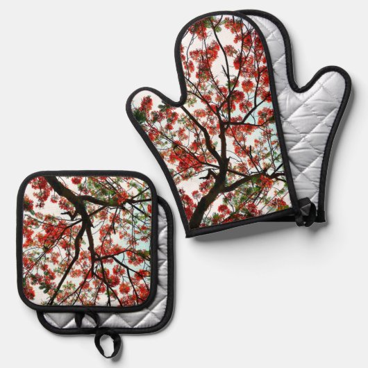 Flamboyant Royal Poinciana Tree Red Schwarz-weiß Ofenhandschuh & Topflappen-Set (Vorderseite/Rückseite)
