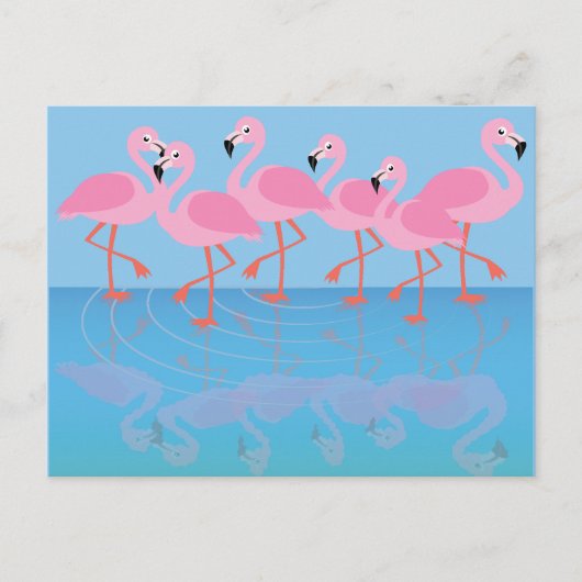 Flamboyanz der Flamingos Postkarte (Vorderseite)