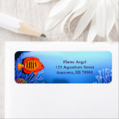 Flame Angelfish Reef Fish Label (Insitu)