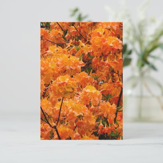 Flame Azalea Blume Einladung (Stehend Vorderseite)
