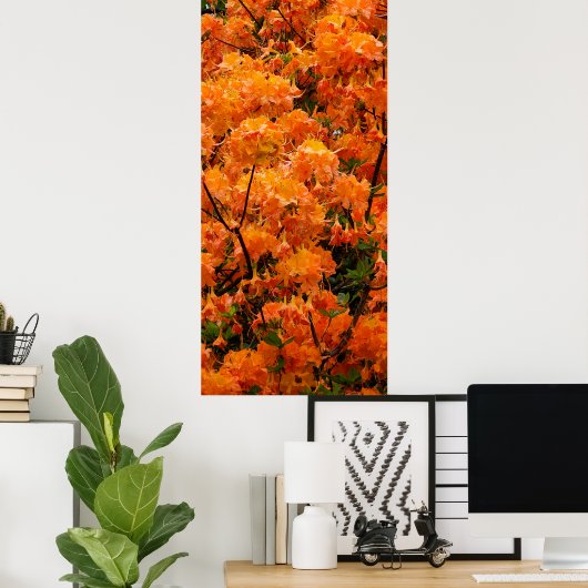 Flame Azalea Blume Poster (Heimbüro)