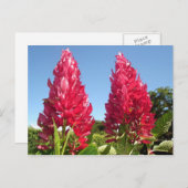 Flame-Blume-Postkarten Postkarte (Vorne/Hinten)