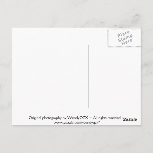 Flame-Blume-Postkarten Postkarte (Rückseite)