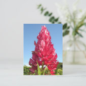 Flame-Blume (vertikal) Postkarte (Stehend Vorderseite)