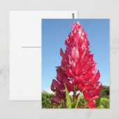 Flame-Blume (vertikal) Postkarte (Vorne/Hinten)