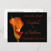 Flame Calla Lily Ankündigungspostkarte (Vorne/Hinten)