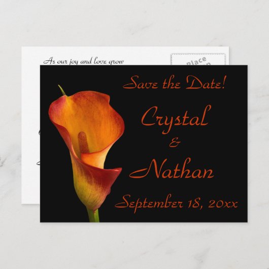 Flame Calla Lily Ankündigungspostkarte (Vorne/Hinten)