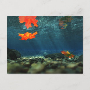 Flame im Wasser Postkarte