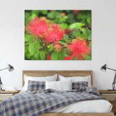 Flame Mimosa Tree Blooms Stretched Canvas Print Leinwanddruck (Insitu (Schlafzimmer))