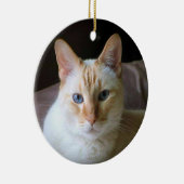 Flame Point Siamese Katze mit blauen Augen Keramik Ornament (Rechts)
