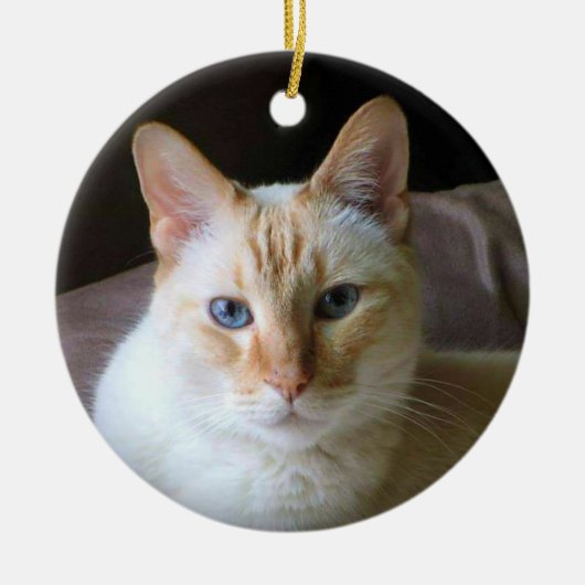 Flame Point Siamese Katze mit blauen Augen Keramik Ornament (Vorne)