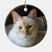Flame Point Siamese Katze mit blauen Augen Keramik Ornament (Hinten)