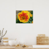 Flame Tulip Print Poster (Küche)