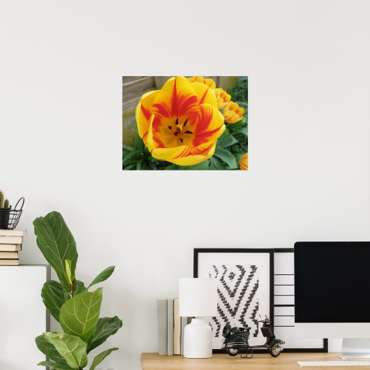 Flame Tulip Print Poster (Heimbüro)