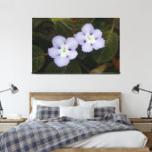 Flame Violet Tropische Wildblume Leinwanddruck (Insitu (Schlafzimmer))