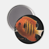 FlameAngel Magnet (Vorderseite/Rückseite)