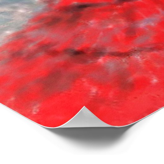 Flamenco Dancer Poster (Ecke)