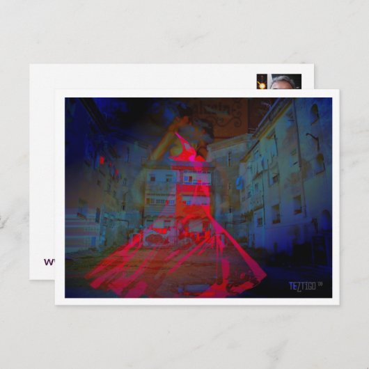 Flamenco DUO Postkarte (Vorne/Hinten)