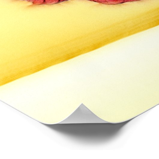 FLAMENCO POSTER (Ecke)