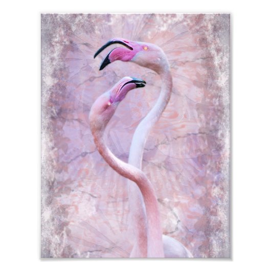 Flamencodruck Fotodruck (Vorne)
