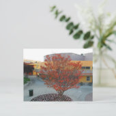 FlameTree Yerba Buena Postkarte (Stehend Vorderseite)