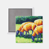 Flamin' Sheep - Sheep Magnet (Vorderseite/Rückseite)