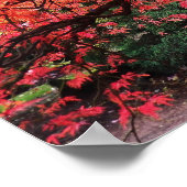Flaming Gnarly Japanese Maple Tree Poster (Ecke)