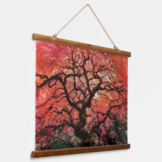 Flaming Gnarly Japanese Maple Tree Wandteppich Mit Holzrahmen (Gewinkelt)