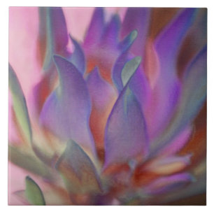 Flaming Protea Fliese